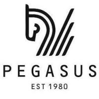 /customerDocs/images/avatars/26475/26475-ΨΗΦΙΑΚΑ ΑΛΜΠΟΥΜ-ΕΚΤΥΠΩΣΕΙΣ-PEGASUS-ΛΑΡΙΣΑ-LOGO.jpg